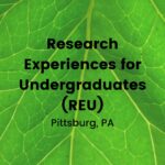Research Experiences for Undergraduates (REU)