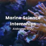 Marine Science Internships