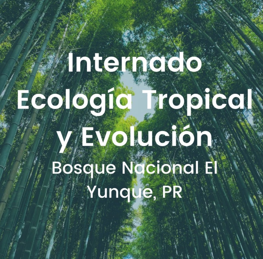 Internado en Ecología Tropical y Evolución