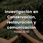 Investigación en Conservación, Restauración y Comunicación