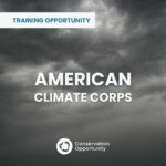 Training in Clean Energy Economy