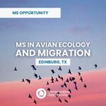 MS in Avian Ecology and Migration